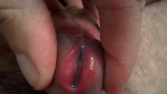Extreme Close-Up Meatotomy Cumshot
