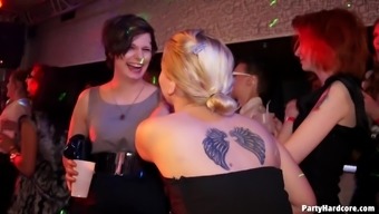 Nice ass pornstars among them tattooed amateur in a party hardcore sex.