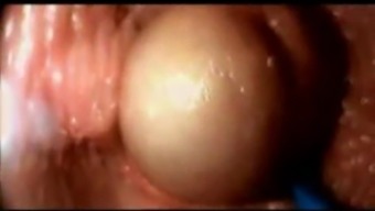 Ejaculate inside a genitals part II