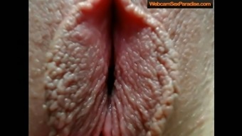 amazing closeup of a pussy