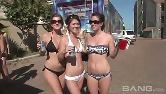Horny sexy bimbos get together for some wild beach parties